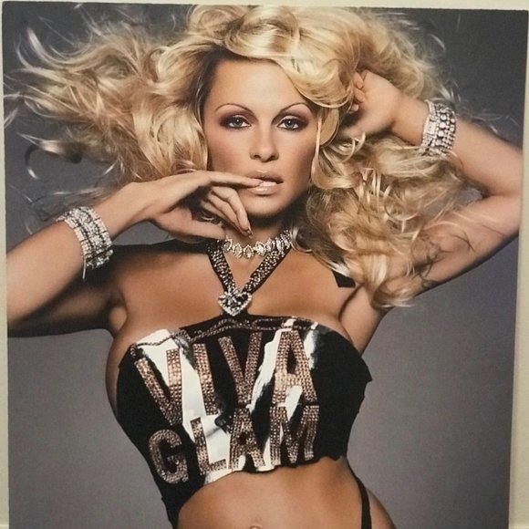 MAC Viva Glam Pamela Anderson Poster Board. - Picture 2 of 2